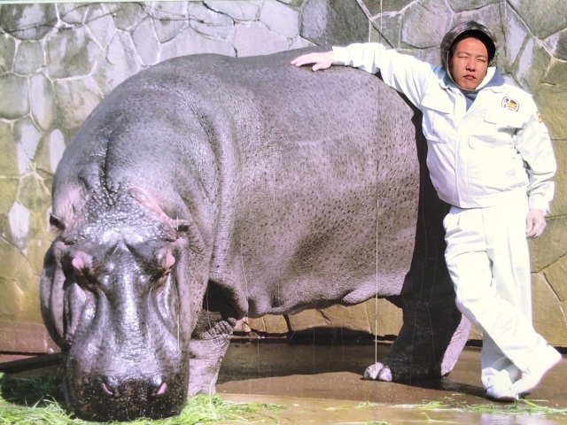 中古車販売 中古車買取 アップル