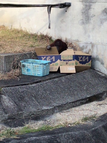 中古車販売 中古車買取 アップル