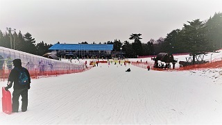 中古車販売 中古車買取 アップル