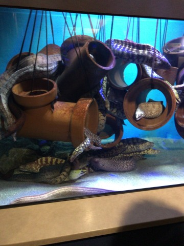 中古車販売 中古車買取 アップル