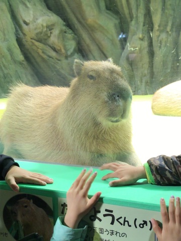 中古車販売 中古車買取 アップル