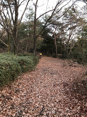 中古車販売 中古車買取 アップル