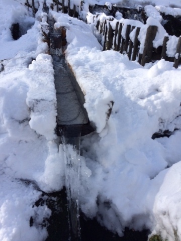 中古車販売 中古車買取 アップル