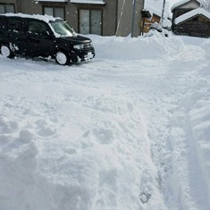 中古車販売 中古車買取 アップル