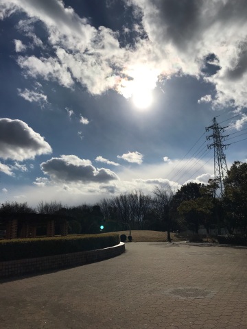 中古車販売 中古車買取 アップル