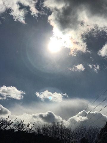 中古車販売 中古車買取 アップル