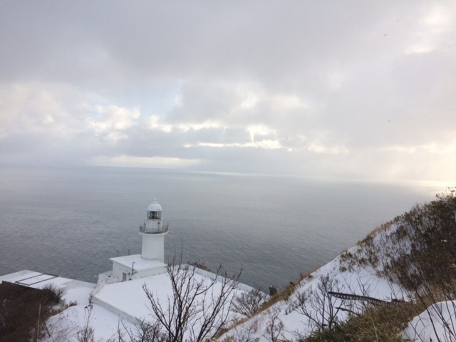 中古車販売 中古車買取 アップル