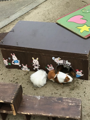 中古車販売 中古車買取 アップル