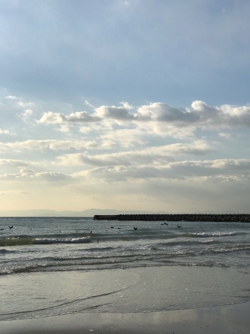 中古車販売 中古車買取 アップル