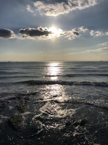 中古車販売 中古車買取 アップル