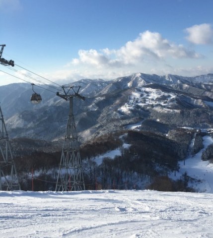 中古車販売 中古車買取 アップル