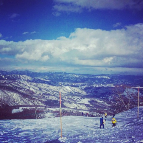 中古車販売 中古車買取 アップル