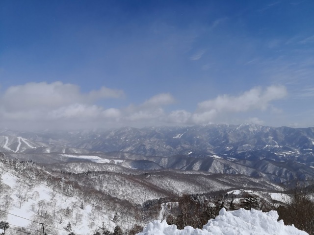 中古車販売 中古車買取 アップル