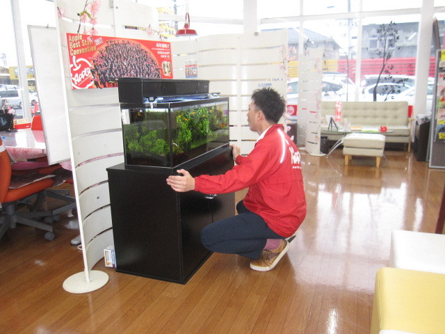 中古車販売 中古車買取 アップル