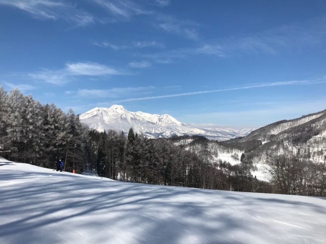 中古車販売 中古車買取 アップル