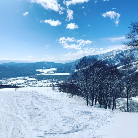 中古車販売 中古車買取 アップル