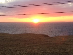 中古車販売 中古車買取 アップル