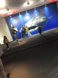 中古車販売 中古車買取 アップル