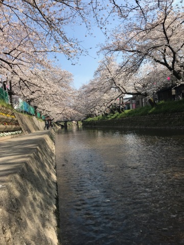 中古車販売 中古車買取 アップル