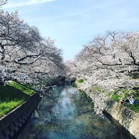 中古車販売 中古車買取 アップル