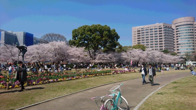 中古車販売 中古車買取 アップル