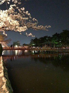 中古車販売 中古車買取 アップル