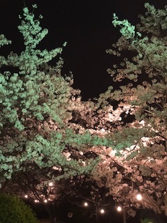 中古車販売 中古車買取 アップル