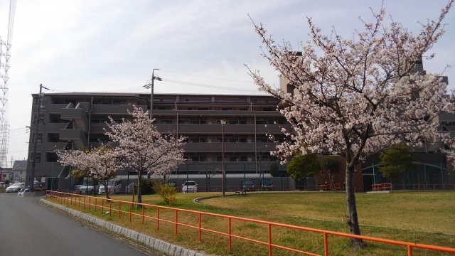 中古車販売 中古車買取 アップル