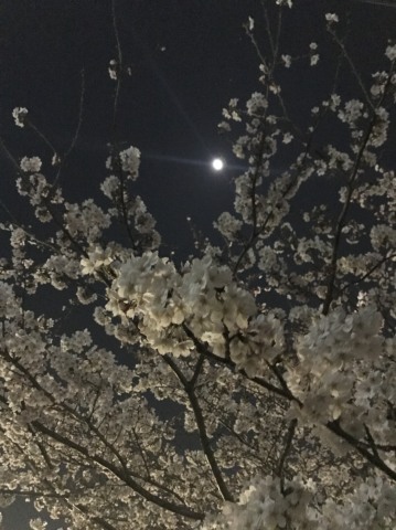 中古車販売 中古車買取 アップル