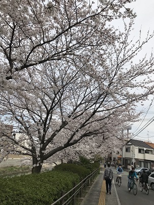 中古車販売 中古車買取 アップル