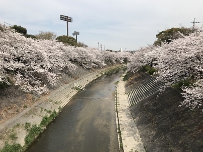 中古車販売 中古車買取 アップル