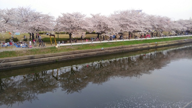 中古車販売 中古車買取 アップル