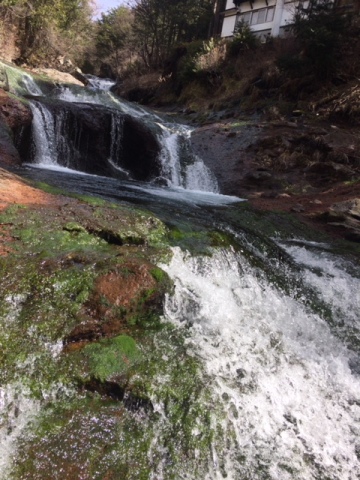 中古車販売 中古車買取 アップル