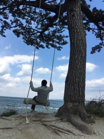 中古車販売 中古車買取 アップル