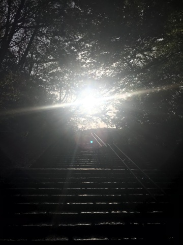 中古車販売 中古車買取 アップル