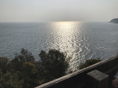 中古車販売 中古車買取 アップル