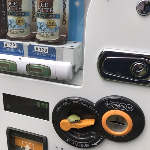 中古車販売 中古車買取 アップル