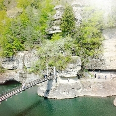 中古車販売 中古車買取 アップル