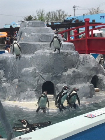 中古車販売 中古車買取 アップル