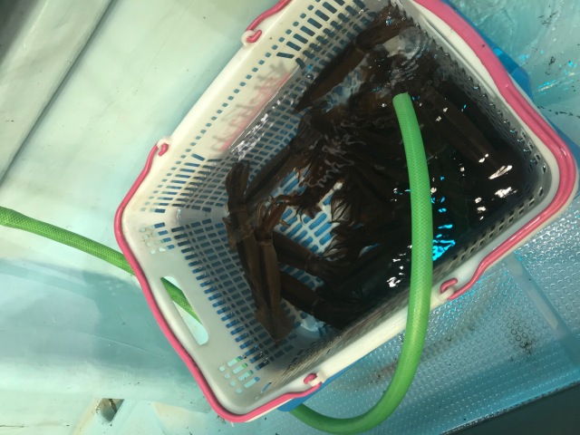 中古車販売 中古車買取 アップル