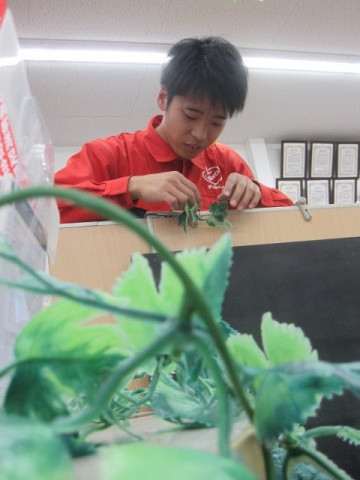 中古車販売 中古車買取 アップル