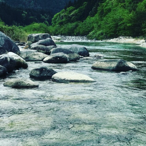 中古車販売 中古車買取 アップル