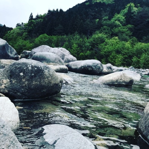 中古車販売 中古車買取 アップル