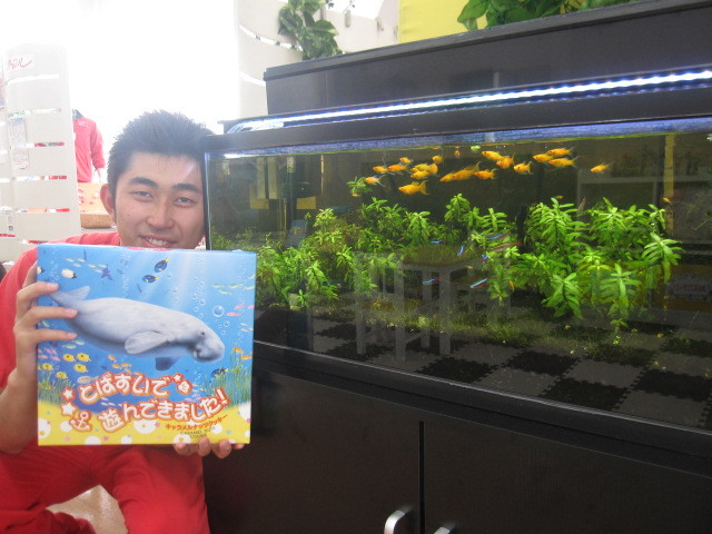 中古車販売 中古車買取 アップル