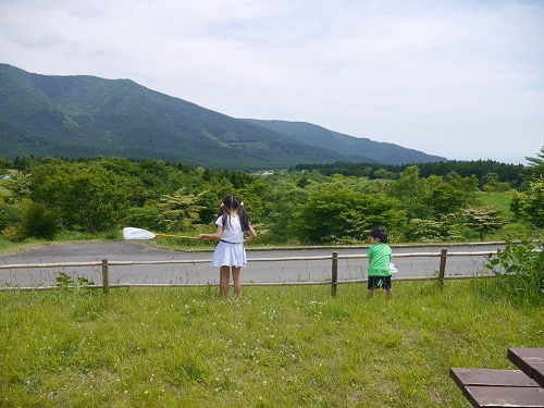 中古車販売 中古車買取 アップル