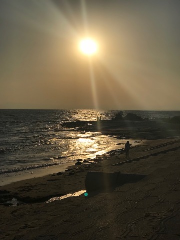 中古車販売 中古車買取 アップル