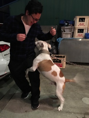 中古車販売 中古車買取 アップル