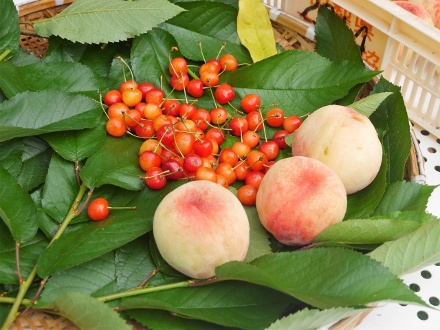 中古車販売 中古車買取 アップル