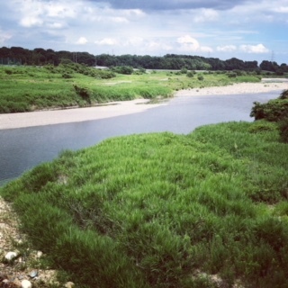 中古車販売 中古車買取 アップル