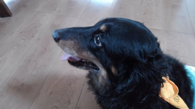 中古車販売 中古車買取 アップル